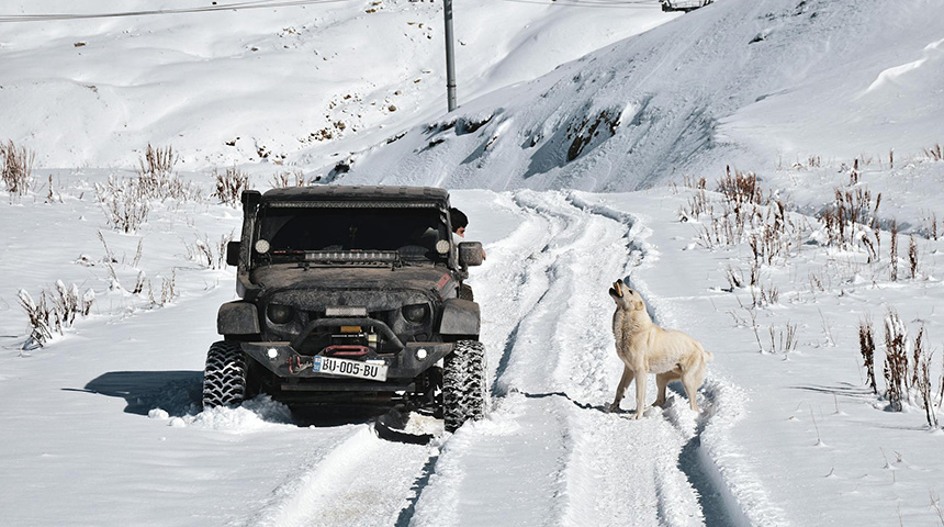 L&aacute;ss tiszt&aacute;n minden időben &ndash; &iacute;gy v&aacute;lassz megb&iacute;zhat&oacute; ablakt&ouml;rlő lap&aacute;tot